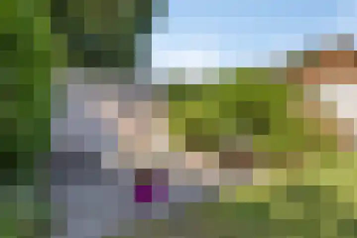 Millsebaan 71 Uden thumbnail 60