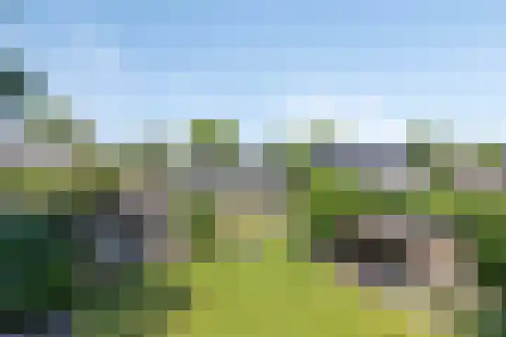 Millsebaan 71 Uden thumbnail 62