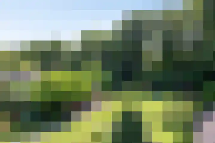 Millsebaan 71 Uden thumbnail 63