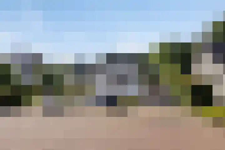 Millsebaan 71 Uden thumbnail 66