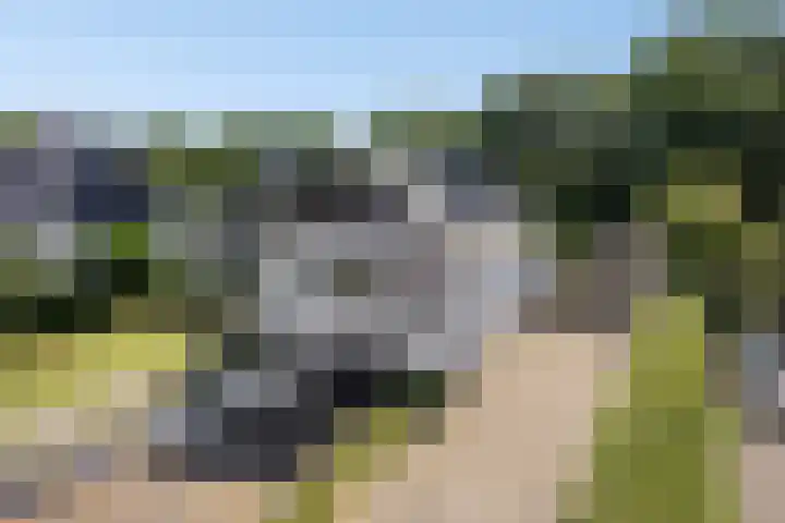 Millsebaan 71 Uden thumbnail 67