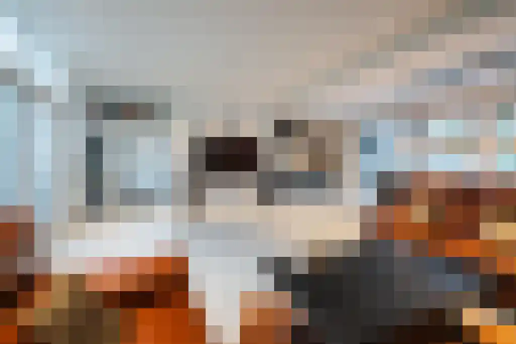 Millsebaan 89 Uden thumbnail 14