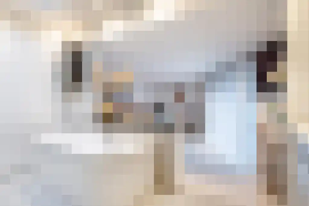 Millsebaan 89 Uden thumbnail 26