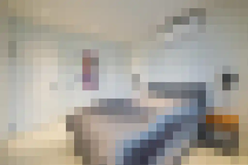 Millsebaan 89 Uden thumbnail 31