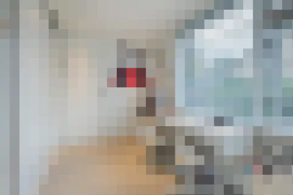 Millsebaan 89 Uden thumbnail 33