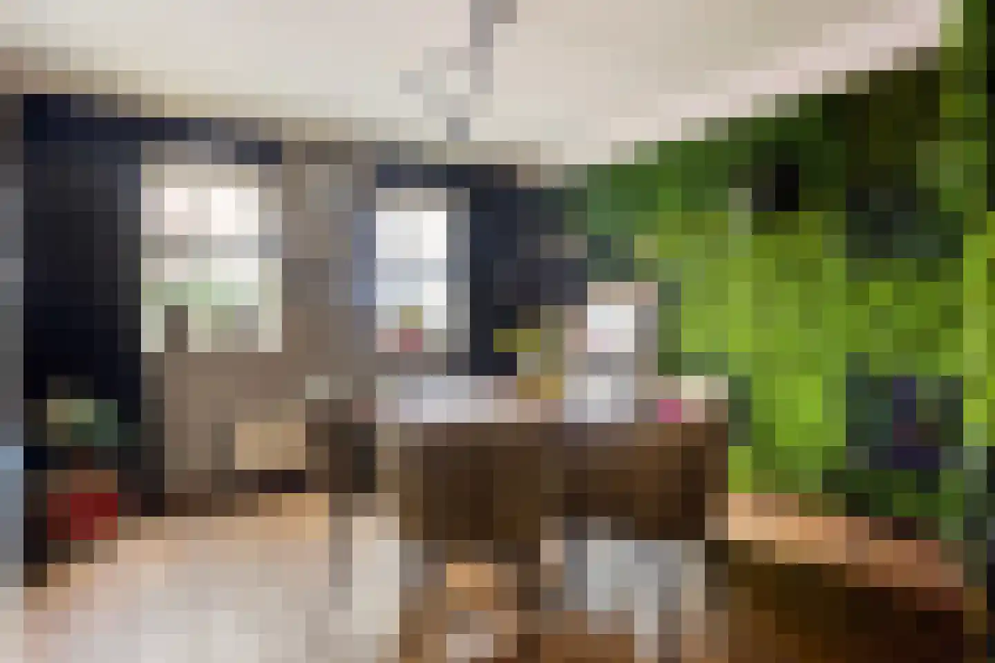 Millseweg 11 A Wanroij thumbnail 11