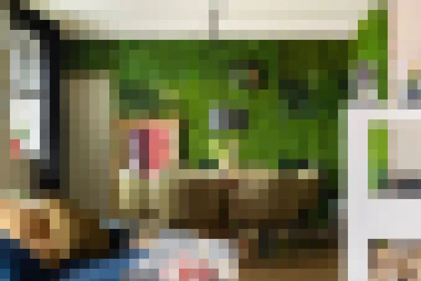 Millseweg 11 A Wanroij thumbnail 12