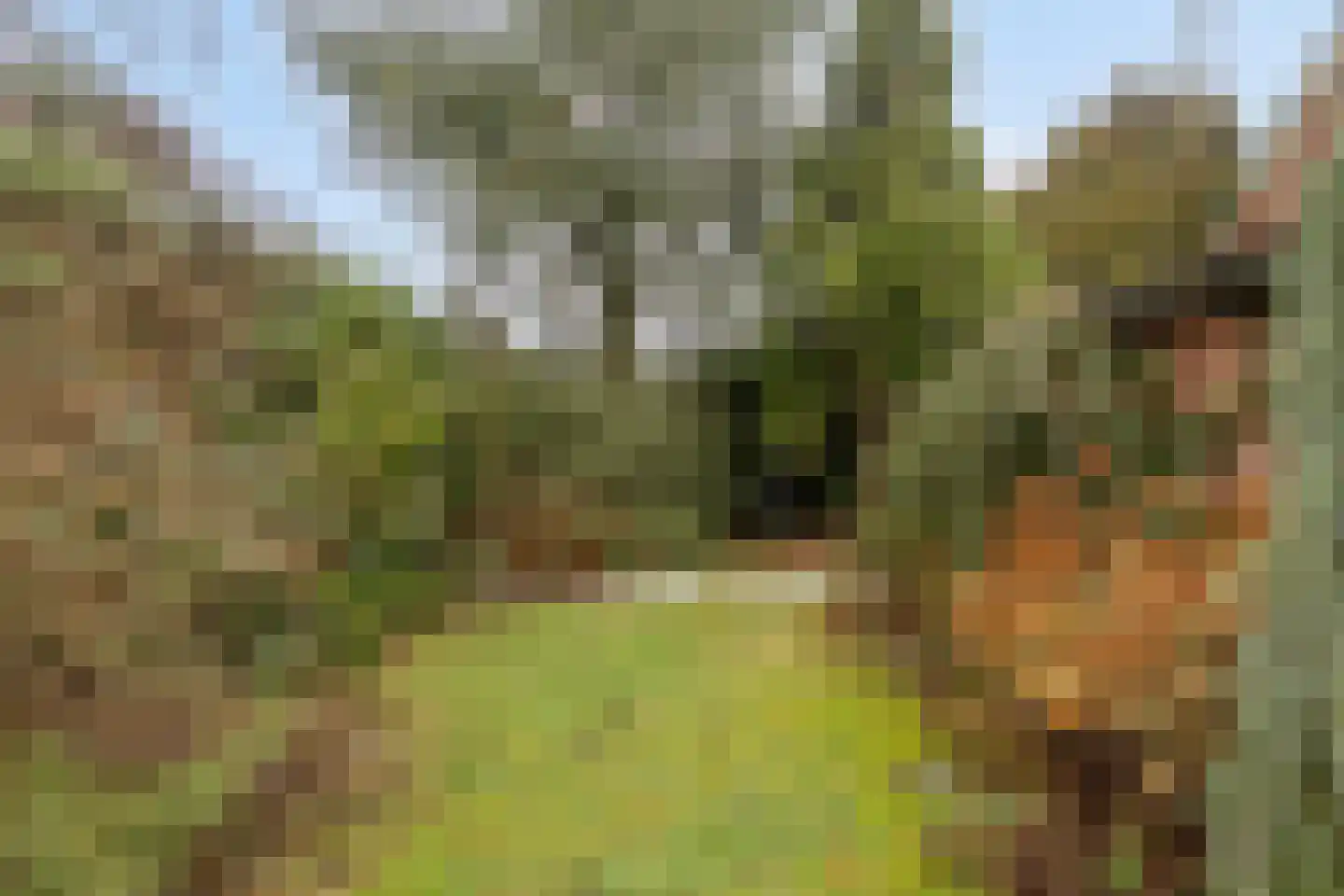 Millseweg 11 A Wanroij thumbnail 34