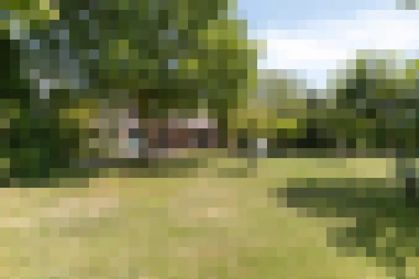 Millseweg 11 A Wanroij thumbnail 37