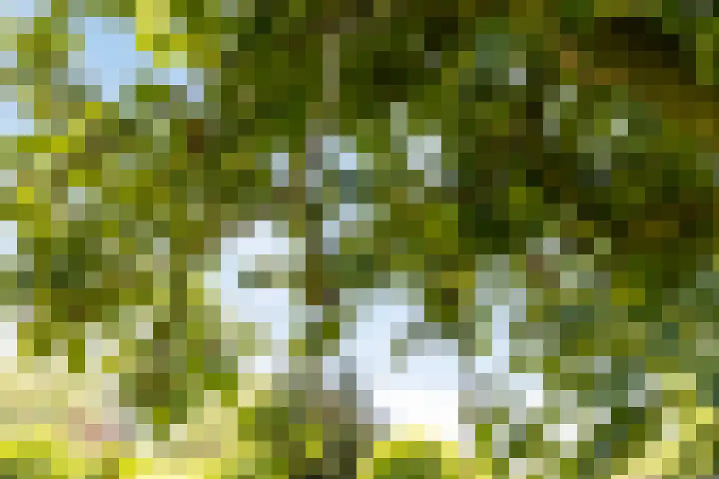 Millseweg 11 A Wanroij thumbnail 38