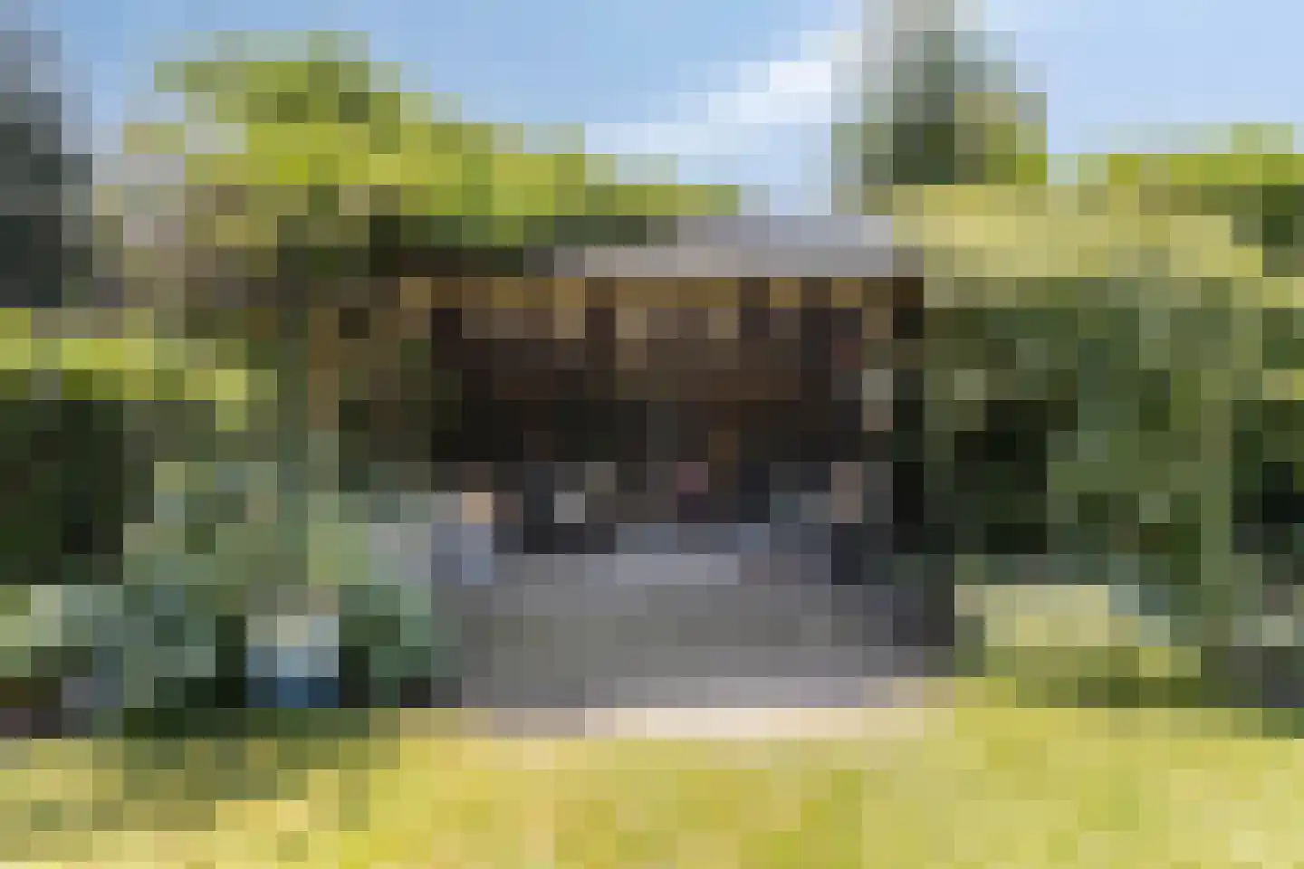 Millseweg 11 A Wanroij thumbnail 40