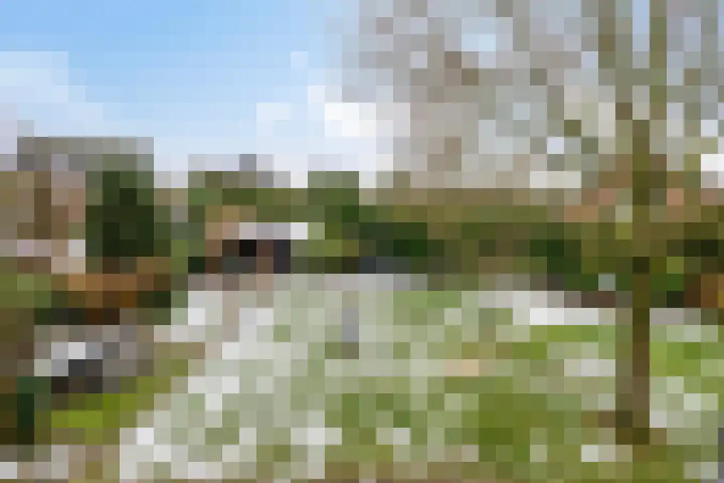 Millseweg 11 A Wanroij thumbnail 41
