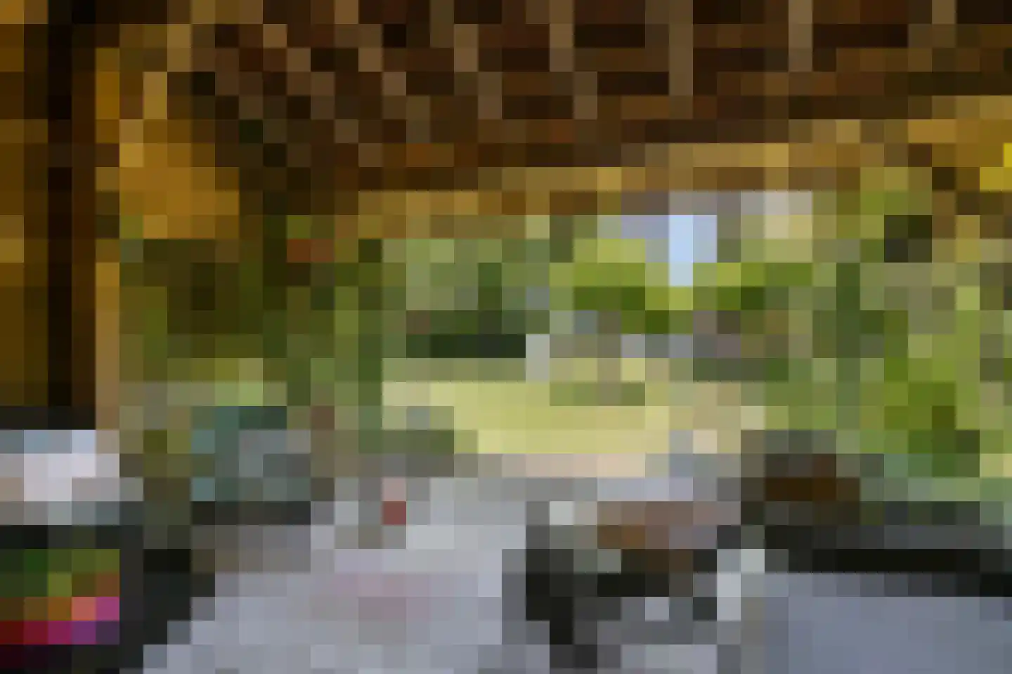 Millseweg 11 A Wanroij thumbnail 42