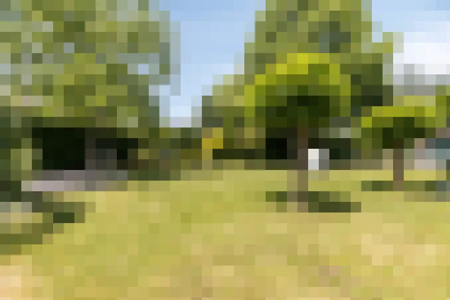 Millseweg 11 A Wanroij thumbnail 43