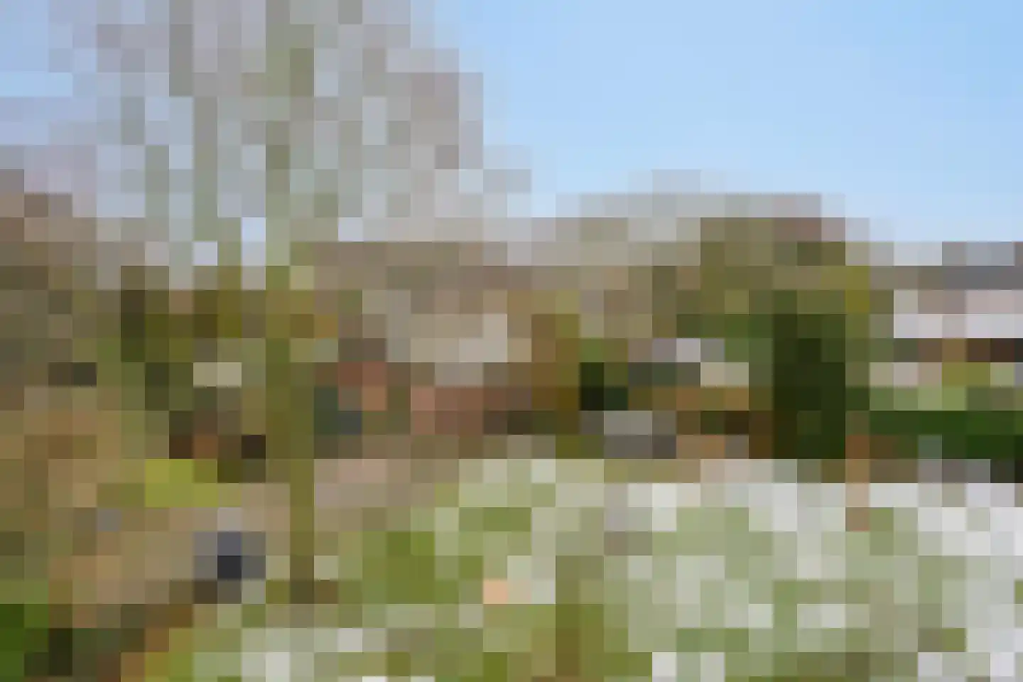 Millseweg 11 A Wanroij thumbnail 44