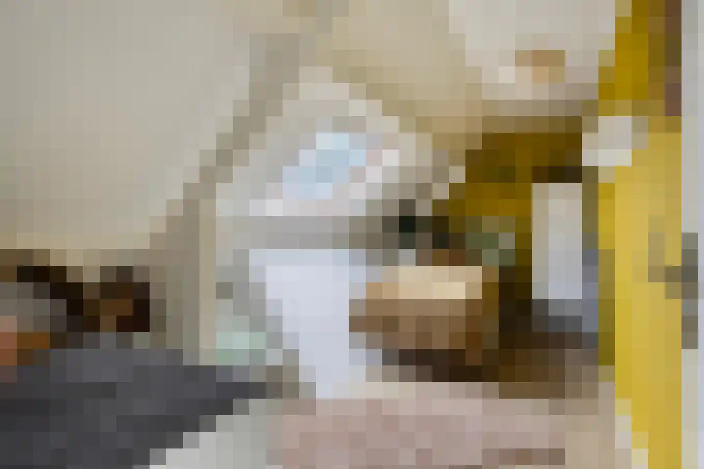 Millseweg 11 A Wanroij thumbnail 53