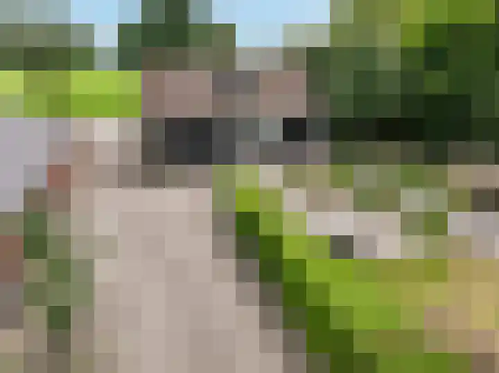 Millseweg 5 a Venhorst thumbnail 30
