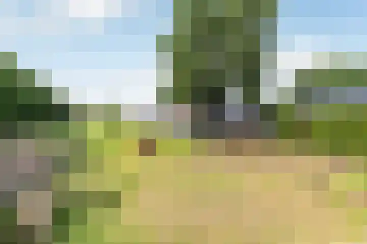 Millseweg 5 a Venhorst thumbnail 37