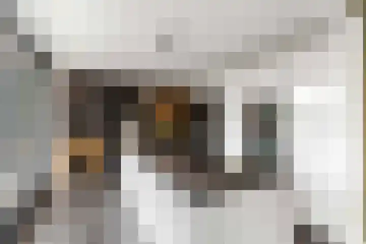 Millseweg 5 a Venhorst thumbnail 4