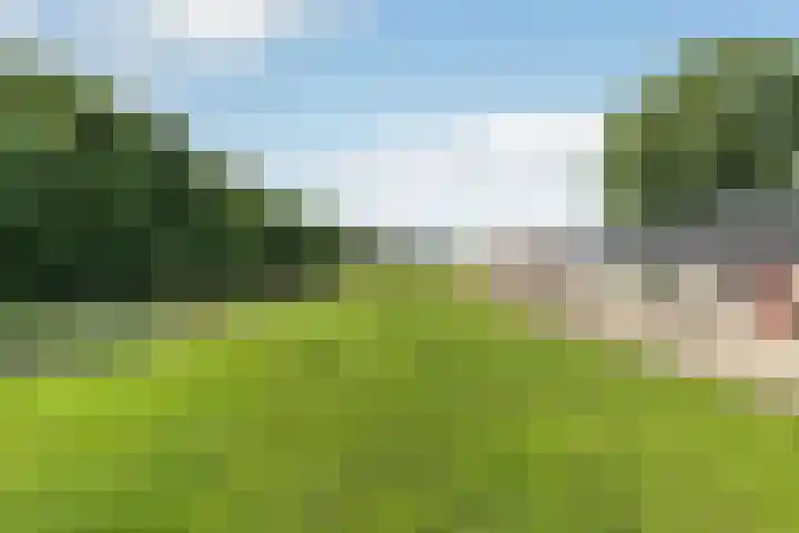 Millseweg 5 a Venhorst thumbnail 40