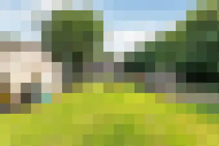 Millseweg 5 a Venhorst thumbnail 41