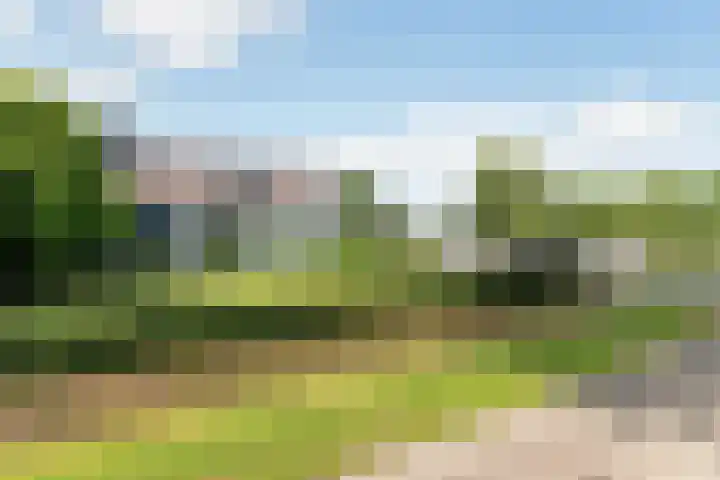 Millseweg 5 a Venhorst thumbnail 47