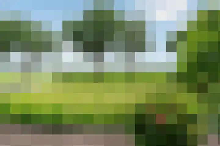 Millseweg 5 a Venhorst thumbnail 49