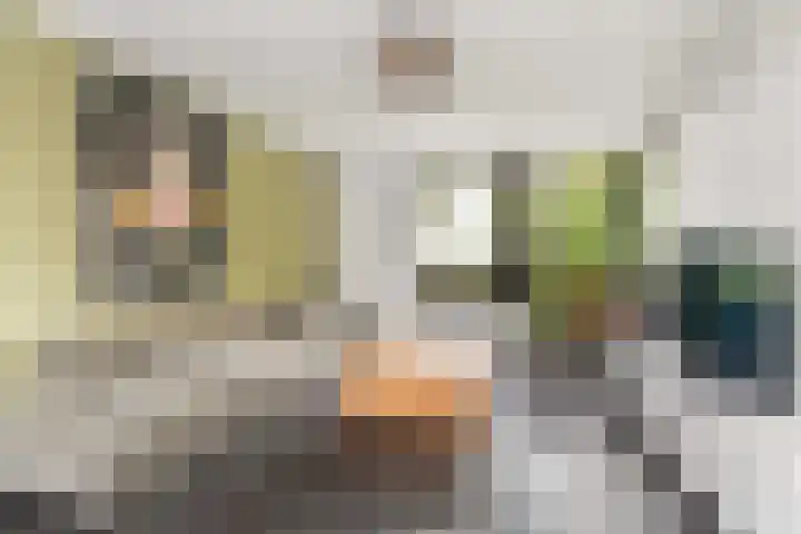 Millseweg 5 a Venhorst thumbnail 6