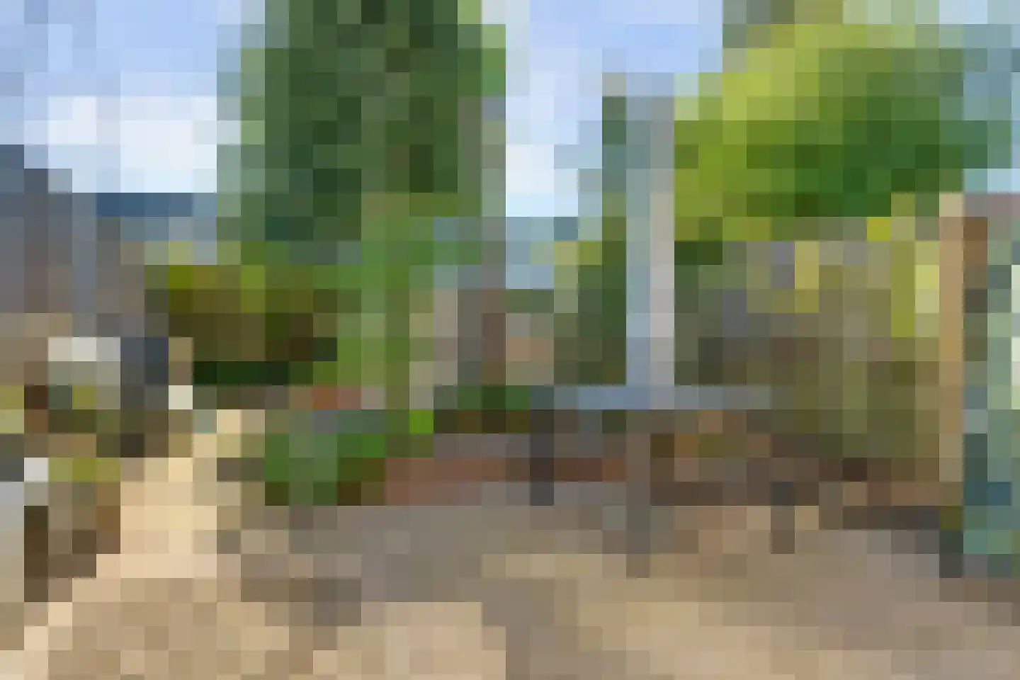 Millweg 16 Arnhem thumbnail 23