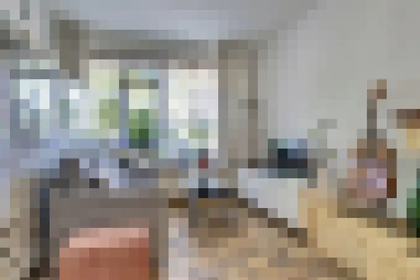 Millweg 16 Arnhem thumbnail 4