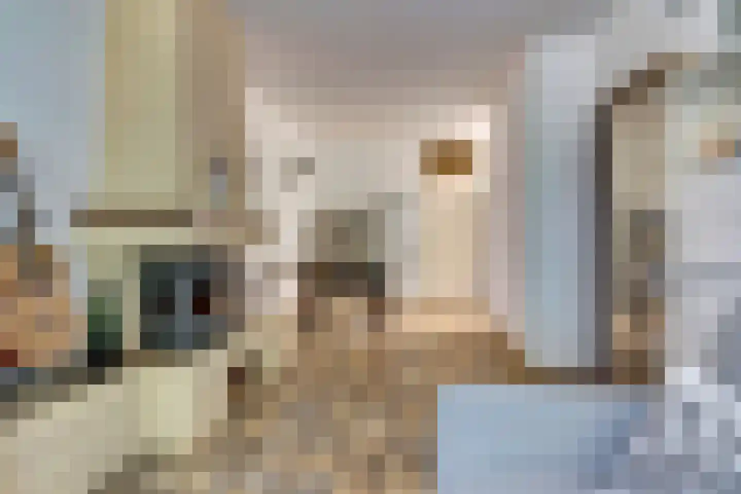 Millweg 16 Arnhem thumbnail 5