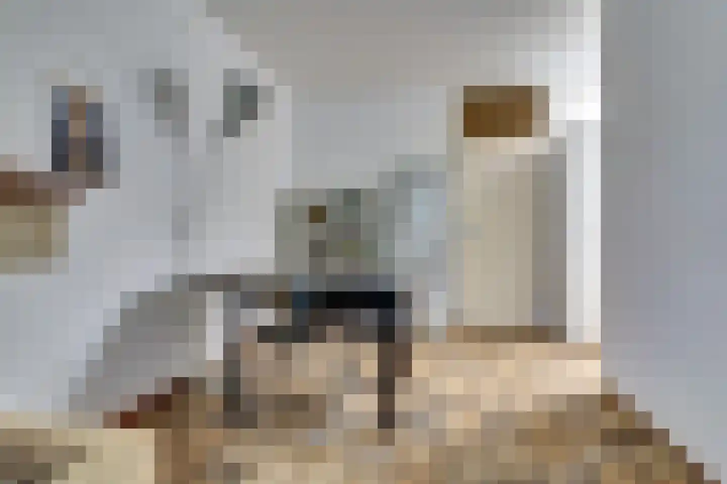 Millweg 16 Arnhem thumbnail 8
