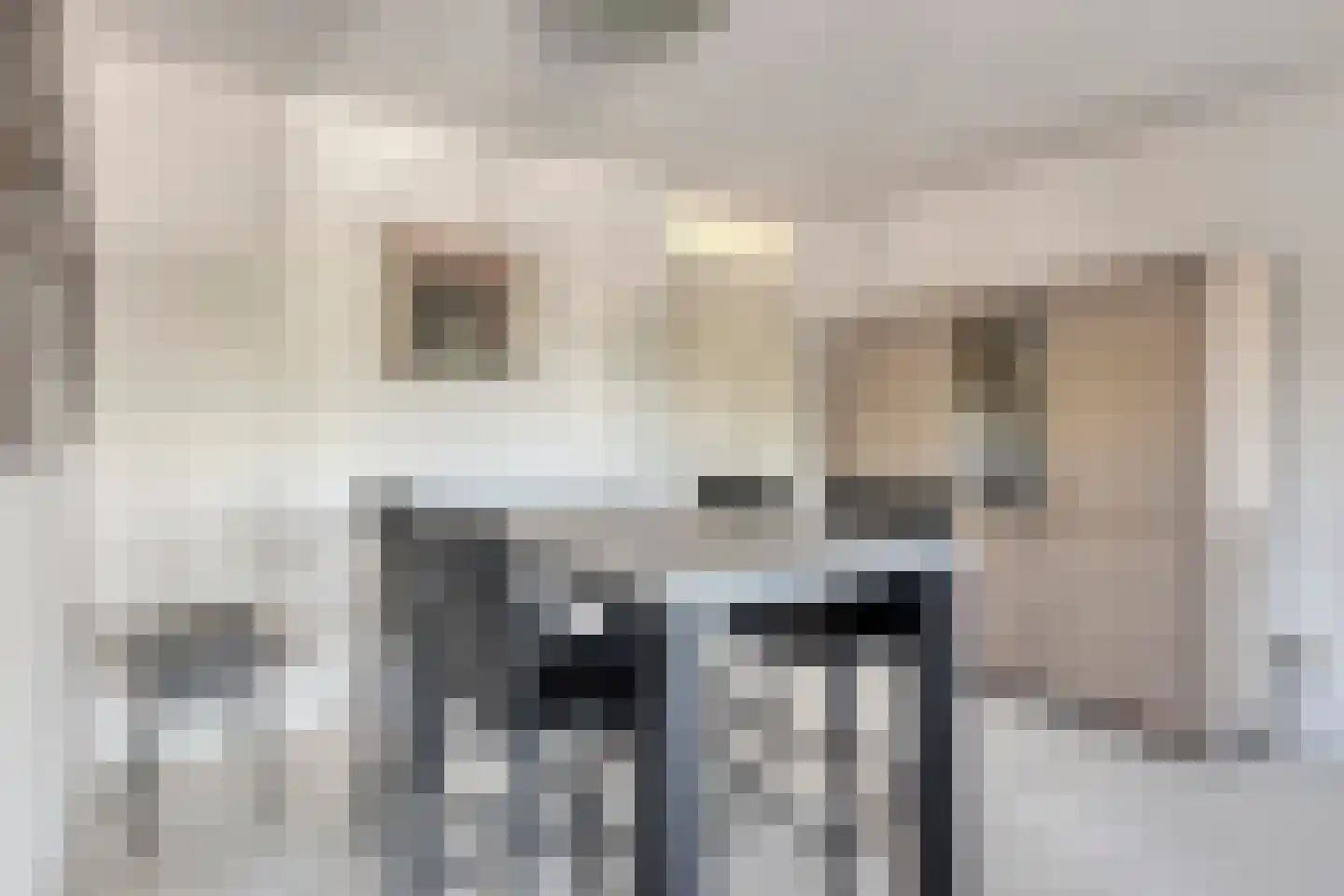 Milockstraat 27 Hulst thumbnail 11