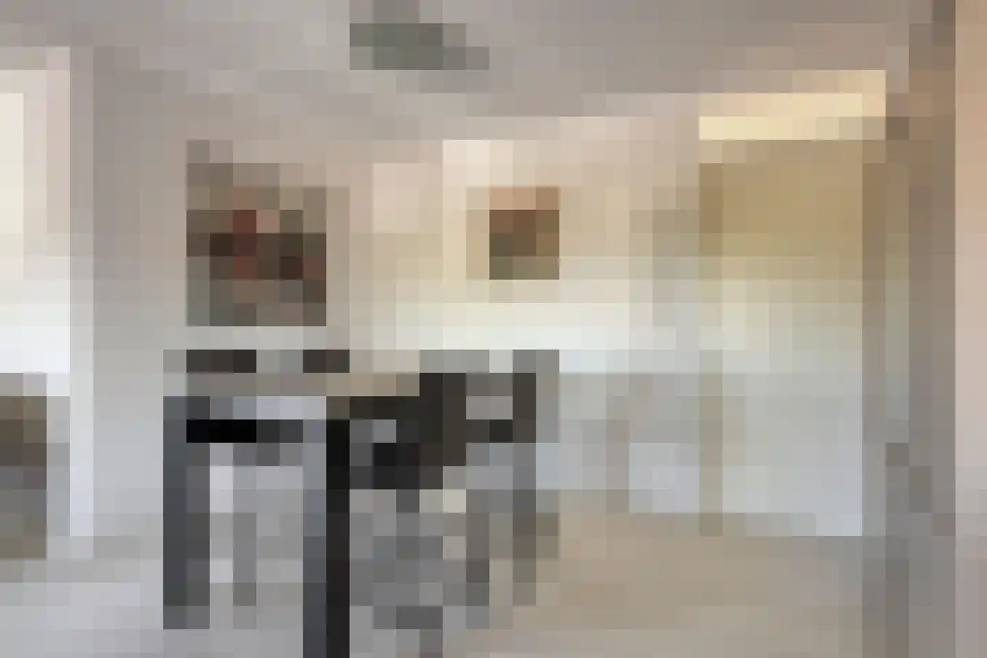 Milockstraat 27 Hulst thumbnail 12