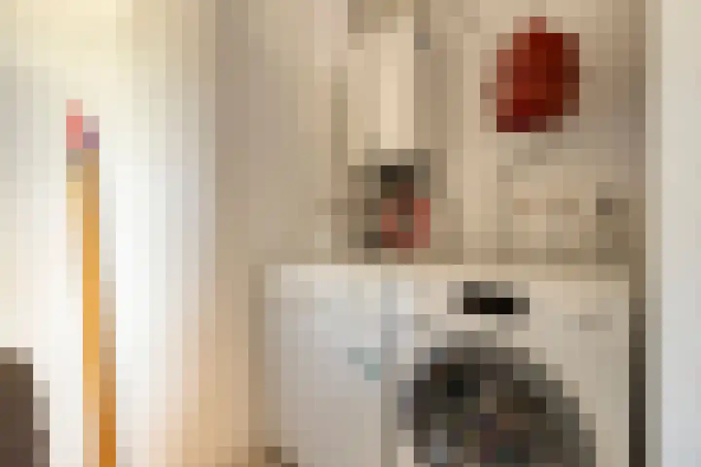 Milockstraat 27 Hulst thumbnail 16