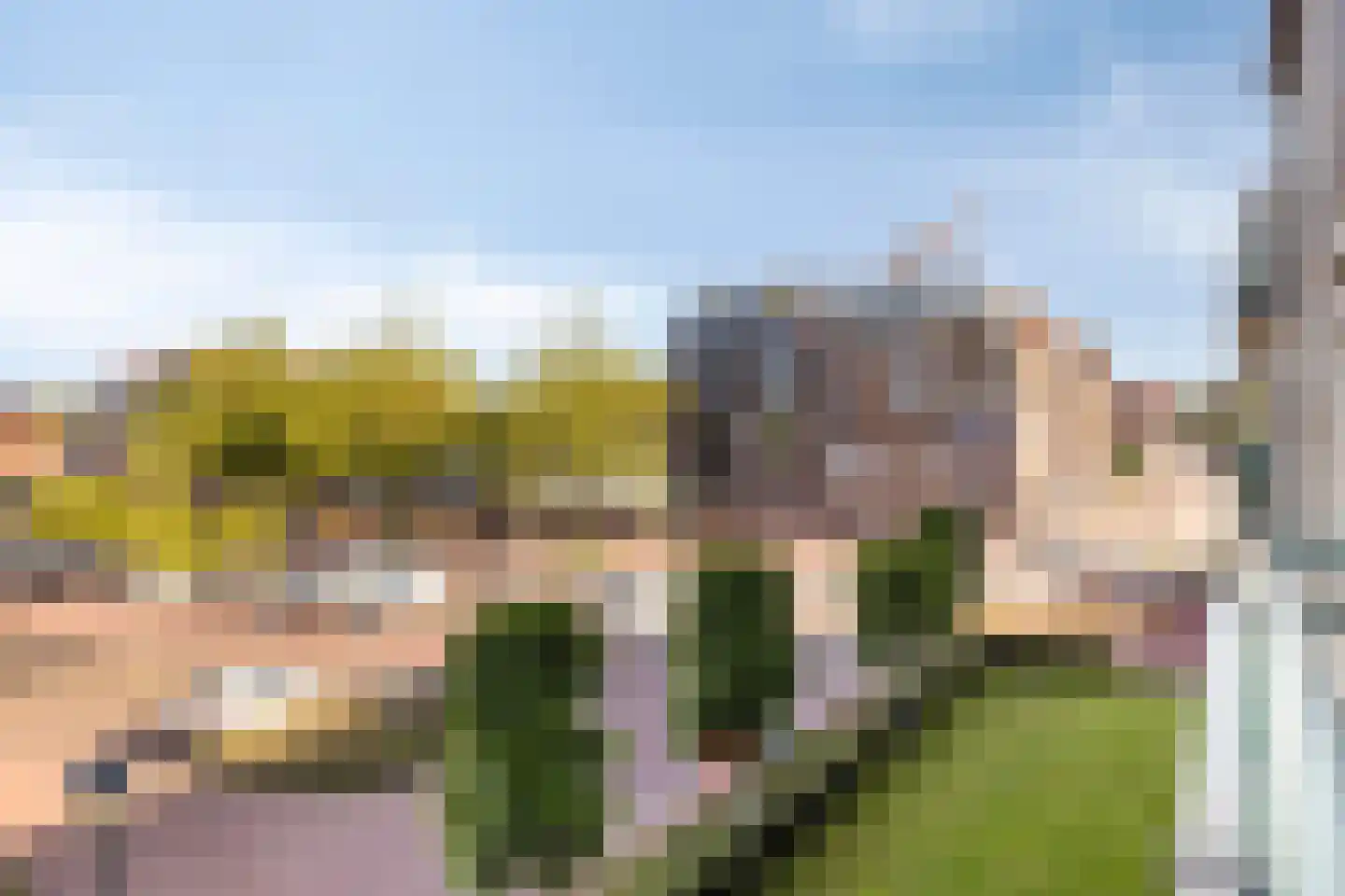Milockstraat 27 Hulst thumbnail 4