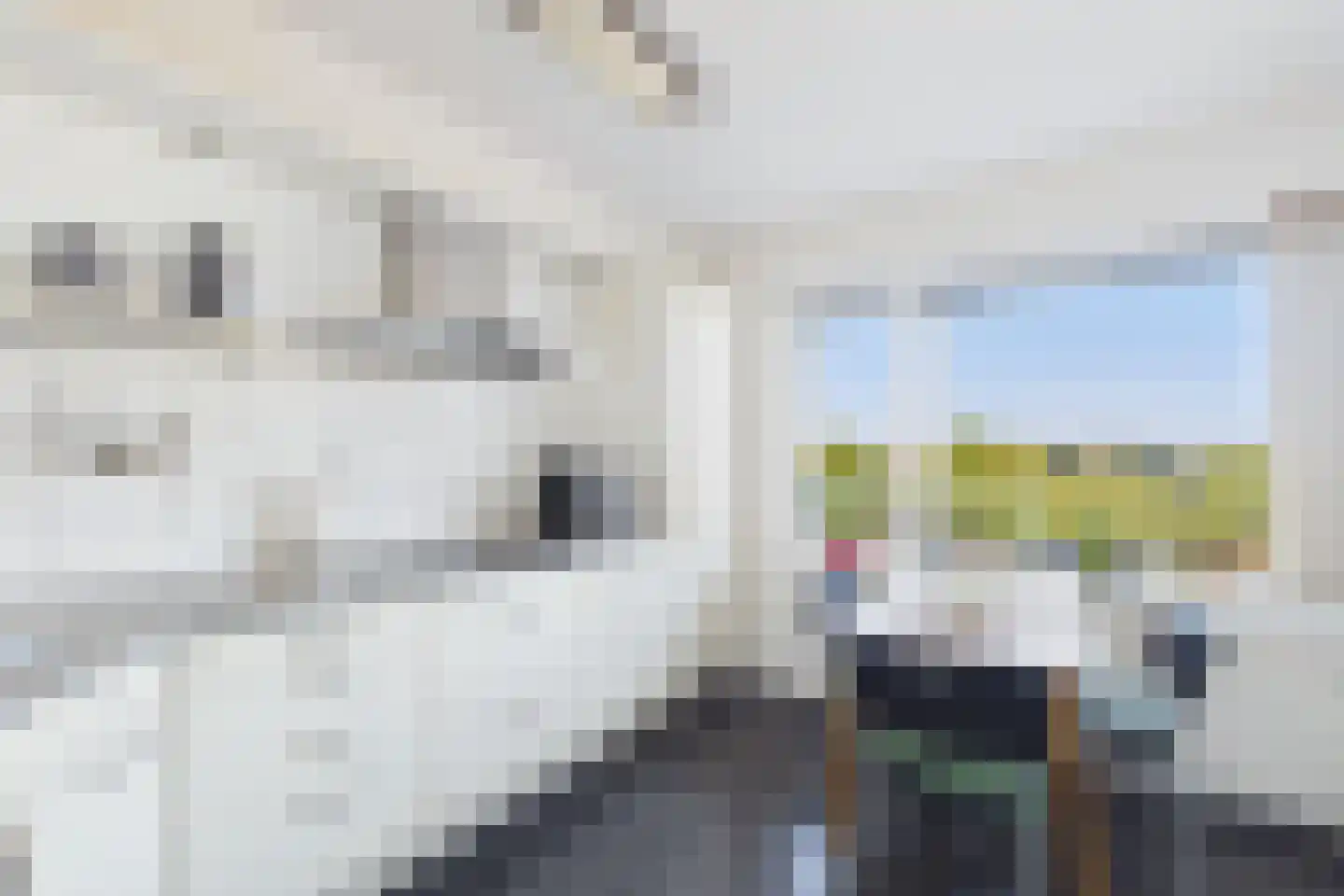 Milockstraat 31 Hulst thumbnail 11