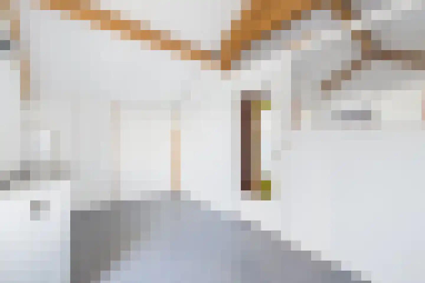 Milockstraat 31 Hulst thumbnail 29