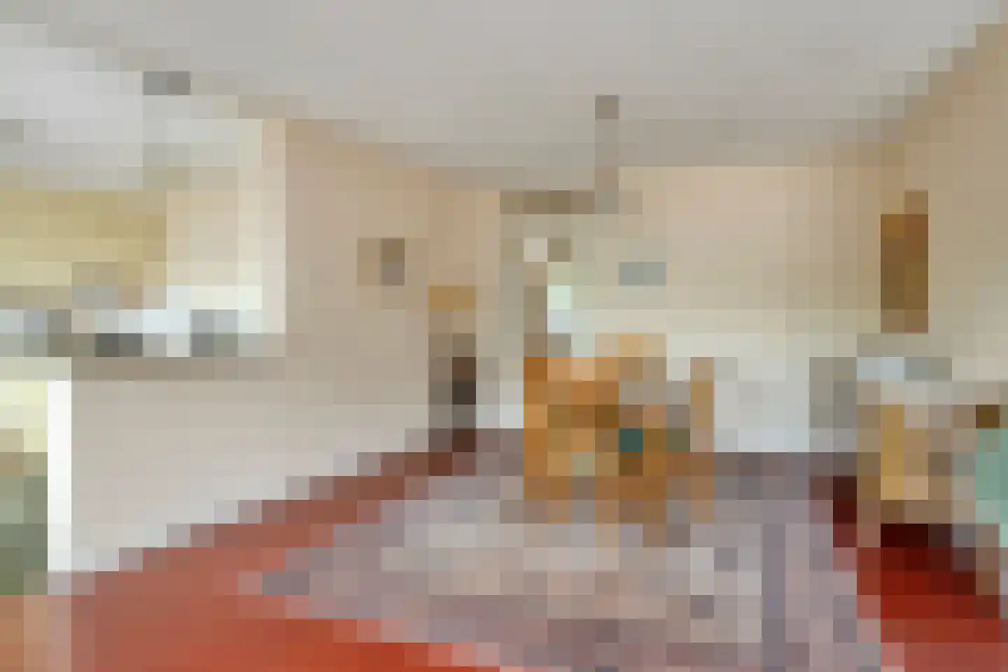 Milockstraat 5 Hulst thumbnail 16