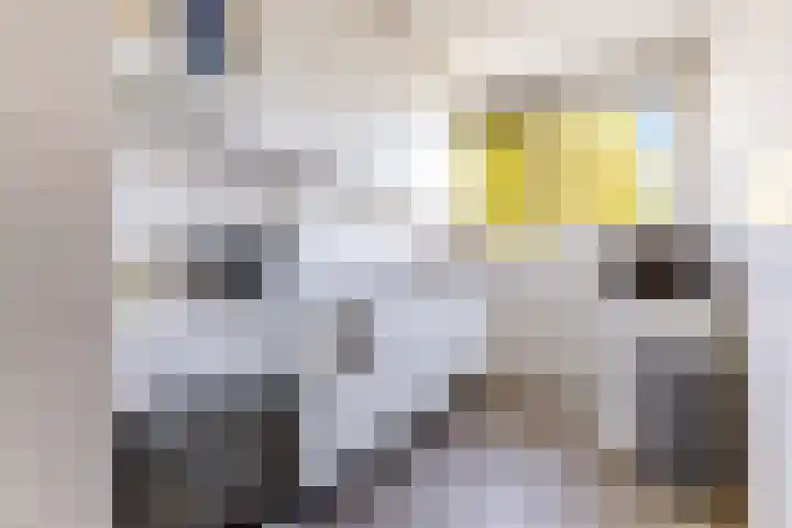 Milosdreef 39 Utrecht thumbnail 11