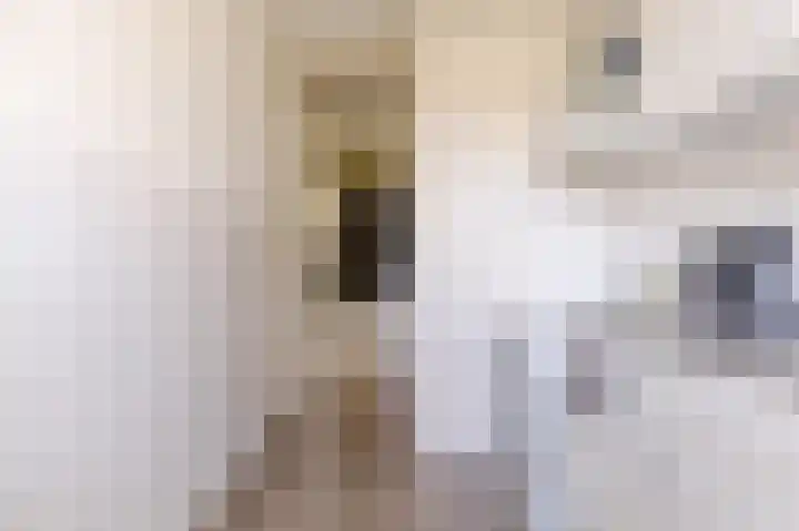 Milosdreef 39 Utrecht thumbnail 12