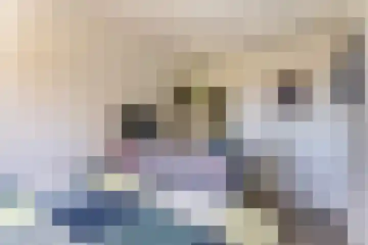 Milosdreef 39 Utrecht thumbnail 15
