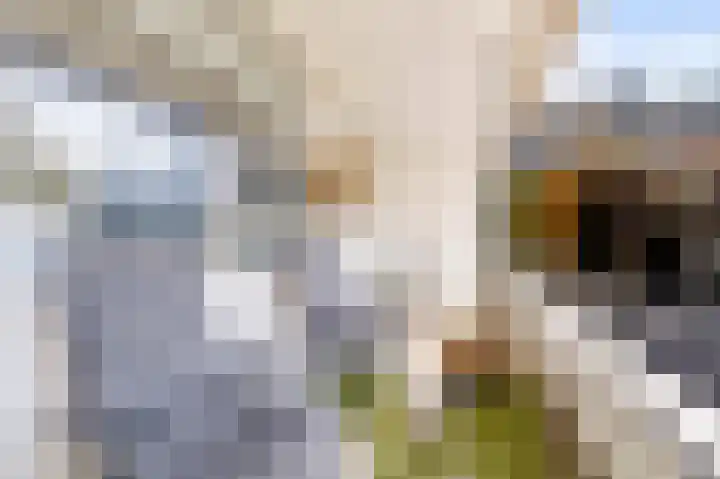Milosdreef 39 Utrecht thumbnail 22