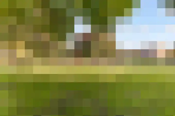 Milosdreef 39 Utrecht thumbnail 28