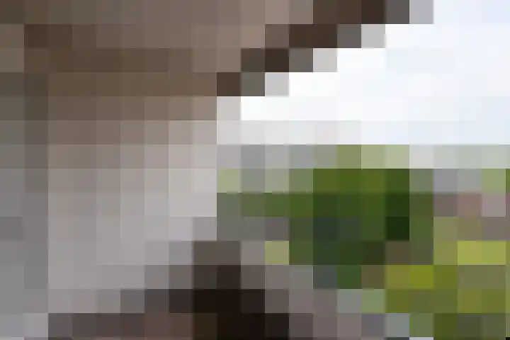 Milosdreef 53 Utrecht thumbnail 10
