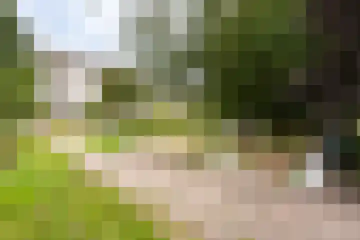 Milosdreef 53 Utrecht thumbnail 23