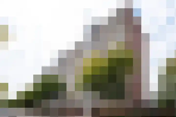 Milosdreef 53 Utrecht thumbnail 27
