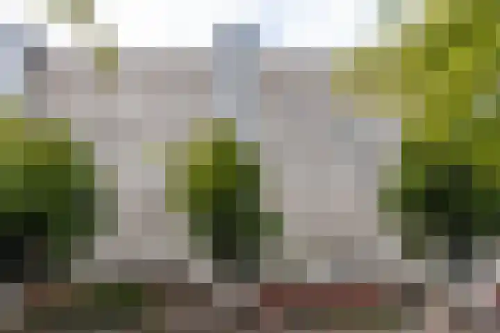 Milosdreef 53 Utrecht thumbnail 39