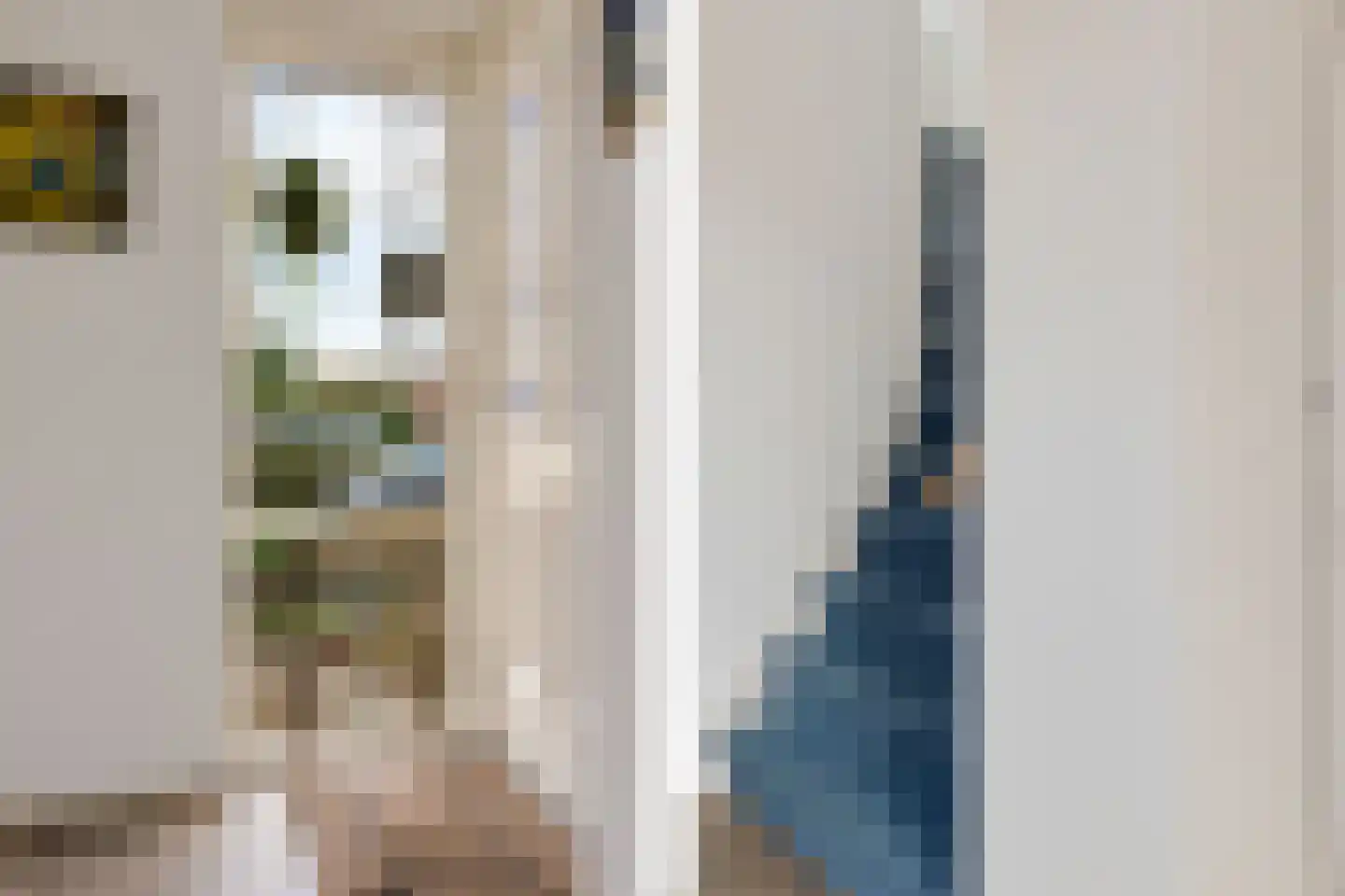 Milrooijseweg 24 Berlicum thumbnail 19