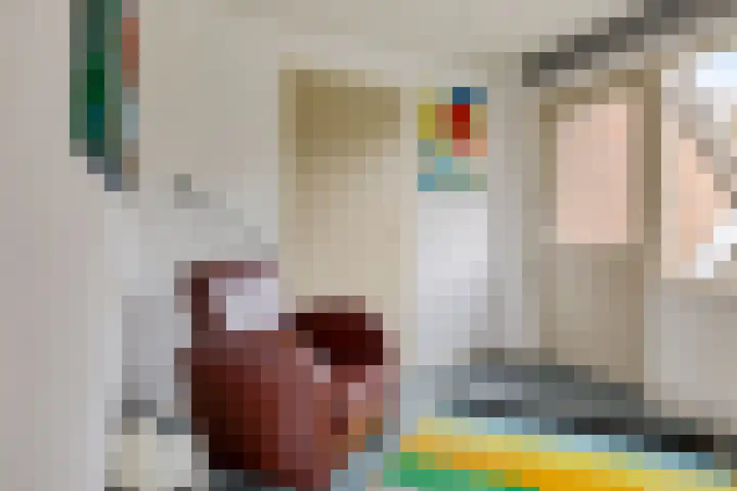 Milrooijseweg 24 Berlicum thumbnail 21
